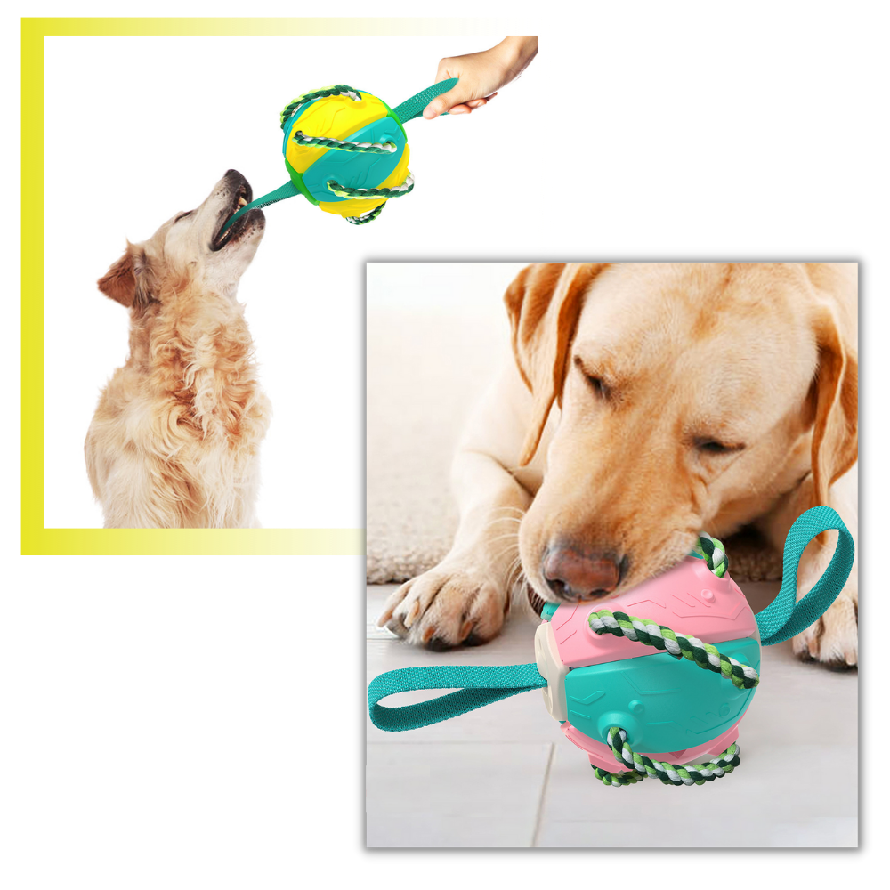 Frisbee boll hund leksak - Ozerty