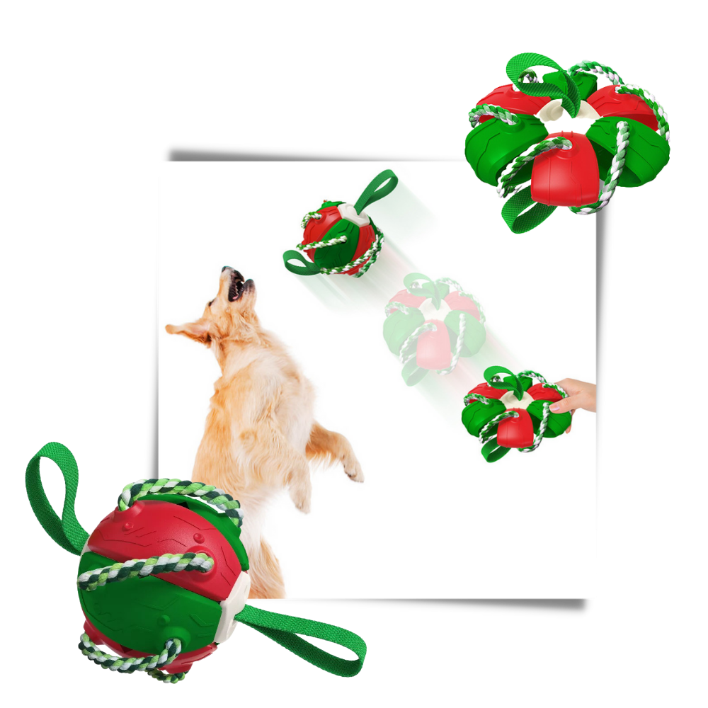 Frisbee boll hund leksak - Ozerty