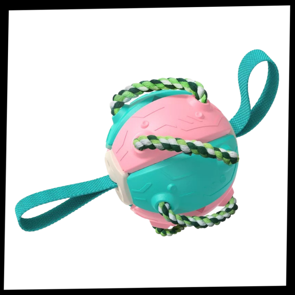 Frisbee boll hund leksak - Ozerty