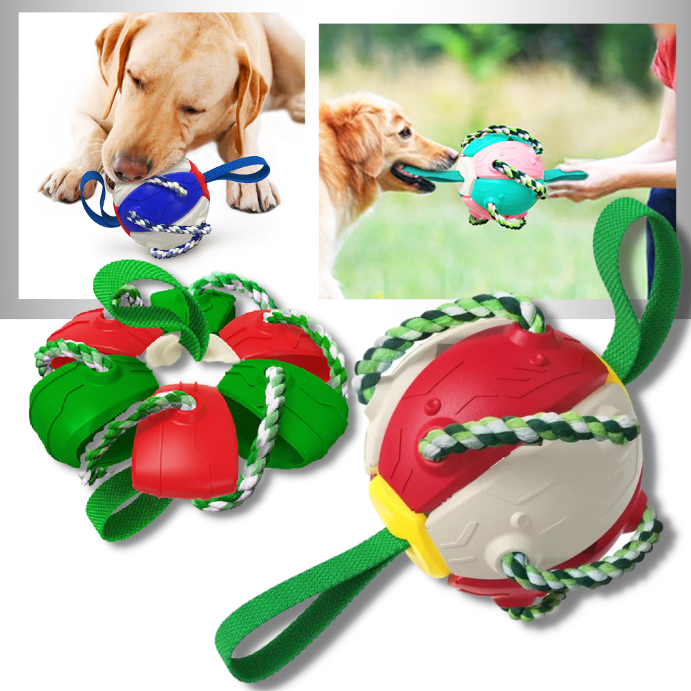 Frisbee boll hund leksak - Ozerty