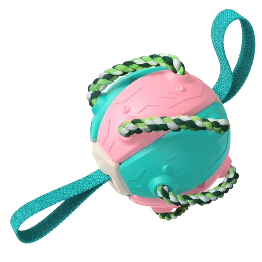 Frisbee boll hund leksak - Ozerty