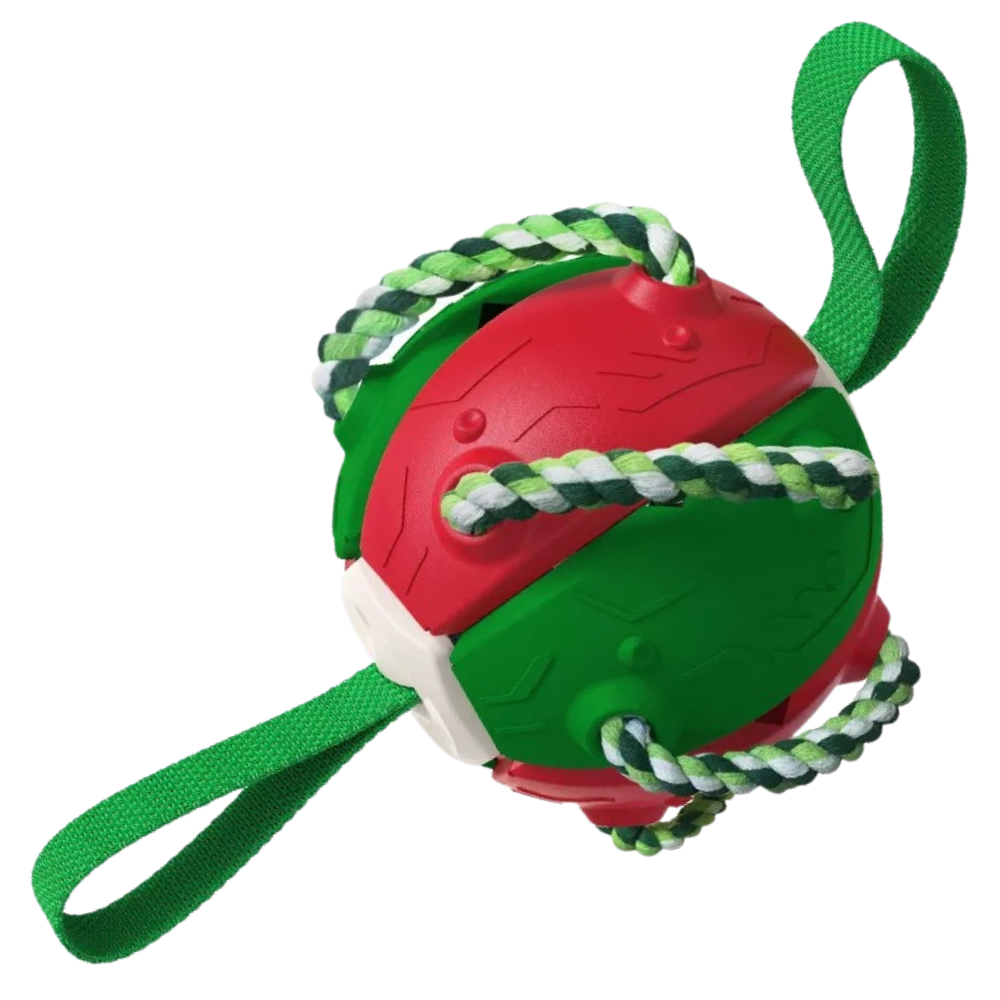 Frisbee ball dog toy