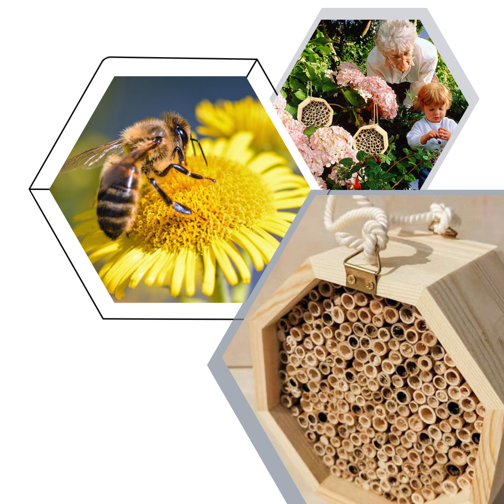 Hexagonalt bihus i trä - Ozerty