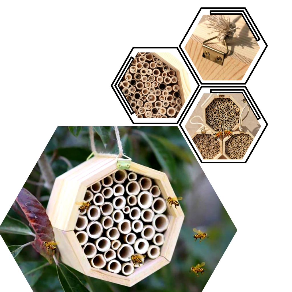 Hexagonalt bihus i trä - Ozerty