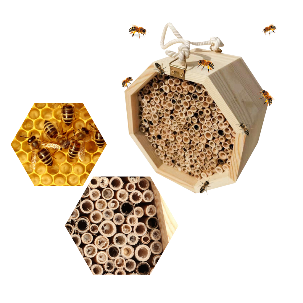 Hexagonalt bihus i trä - Ozerty