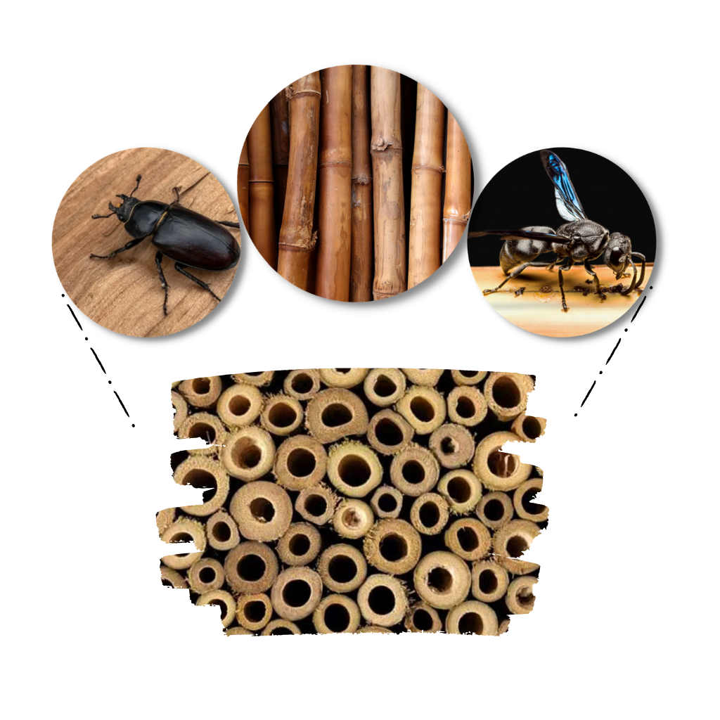 Hexagonalt bihus i trä - Ozerty