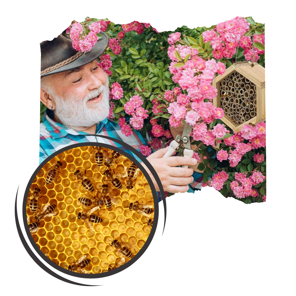 Hexagonalt bihus i trä - Ozerty