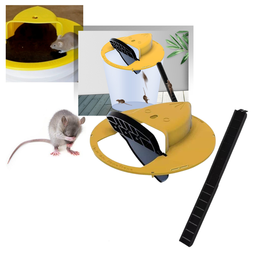 Rått- och mössfälla i hink - Ozerty