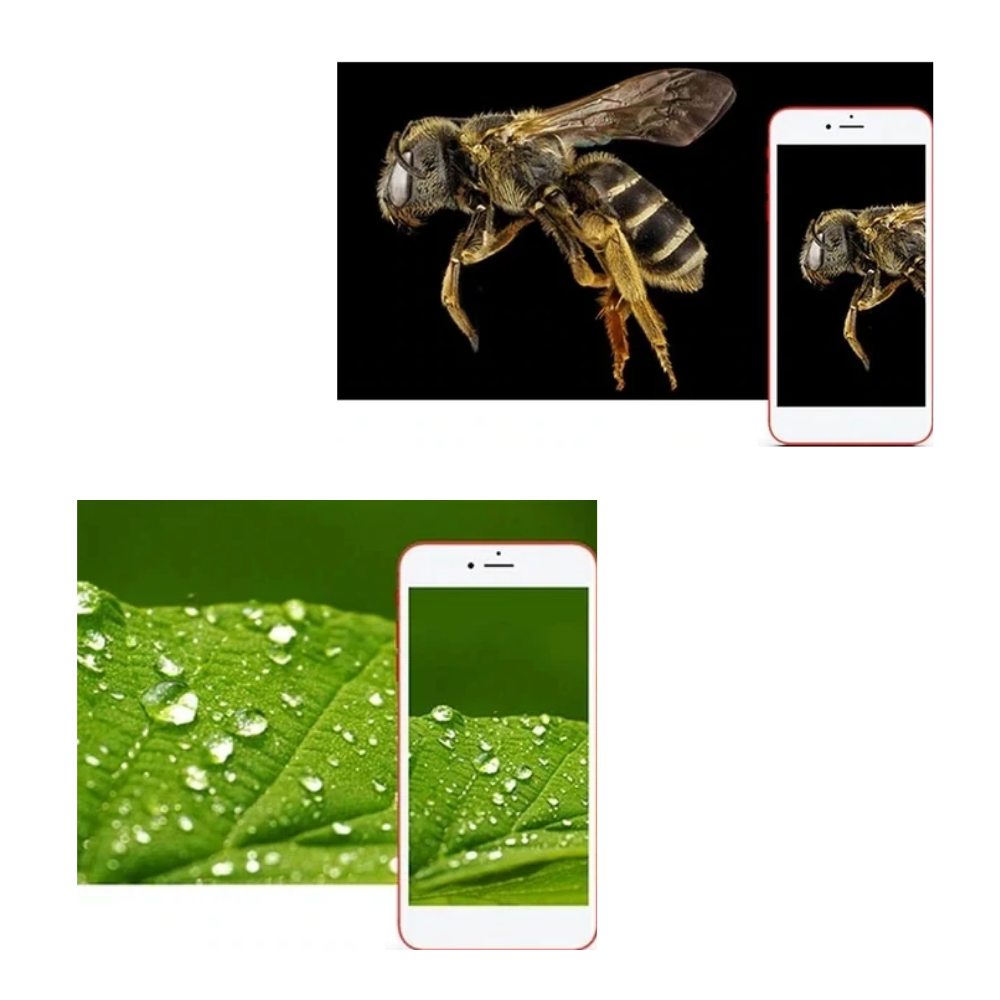 Digitalt USB-mikroskop med LED - Ozerty