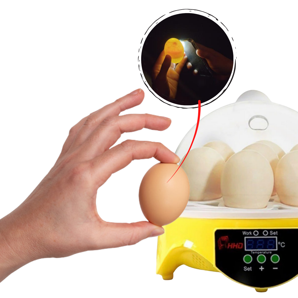 Mini automatisk äggkläckningsmaskin - Ozerty