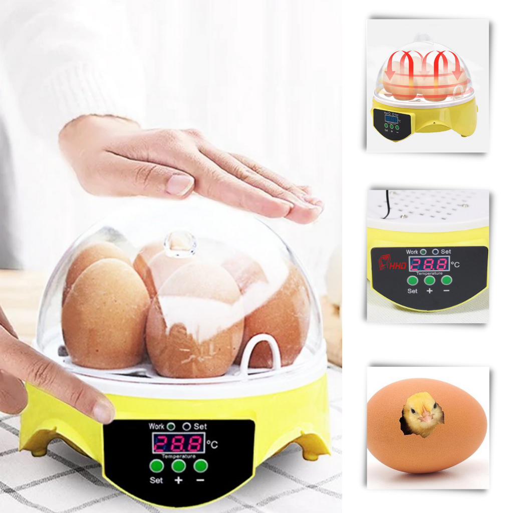 Mini automatisk äggkläckningsmaskin - Ozerty