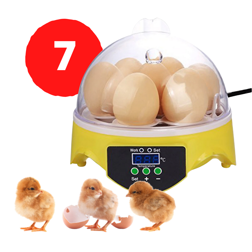 Mini automatisk äggkläckningsmaskin - Ozerty
