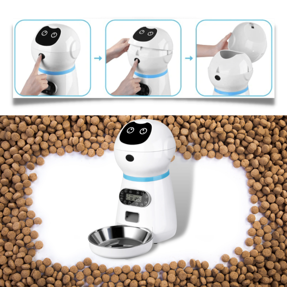 Automatisk matdispenser för husdjur - Ozerty