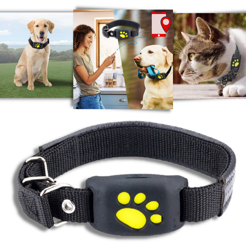 Halsband med GPS för husdjur - Ozerty