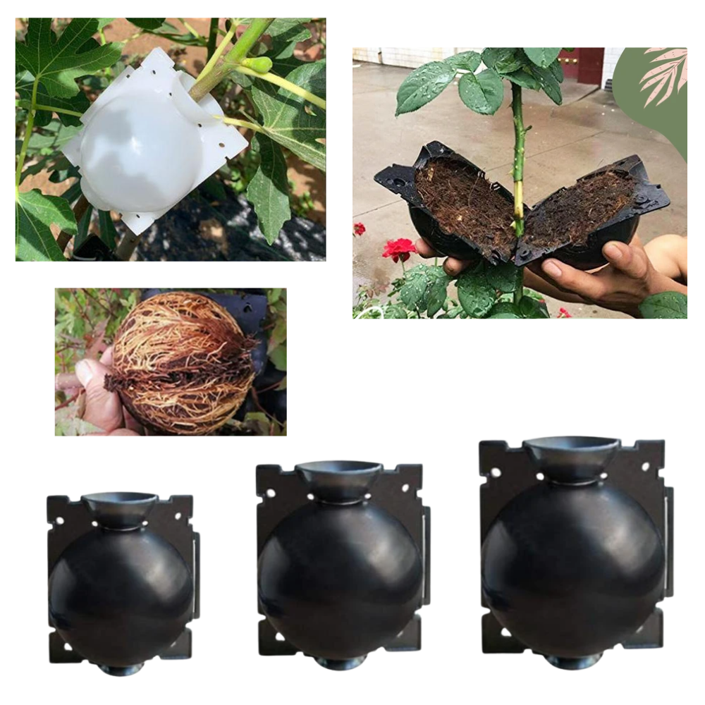 Paket med 3 växtlådor - Ozerty