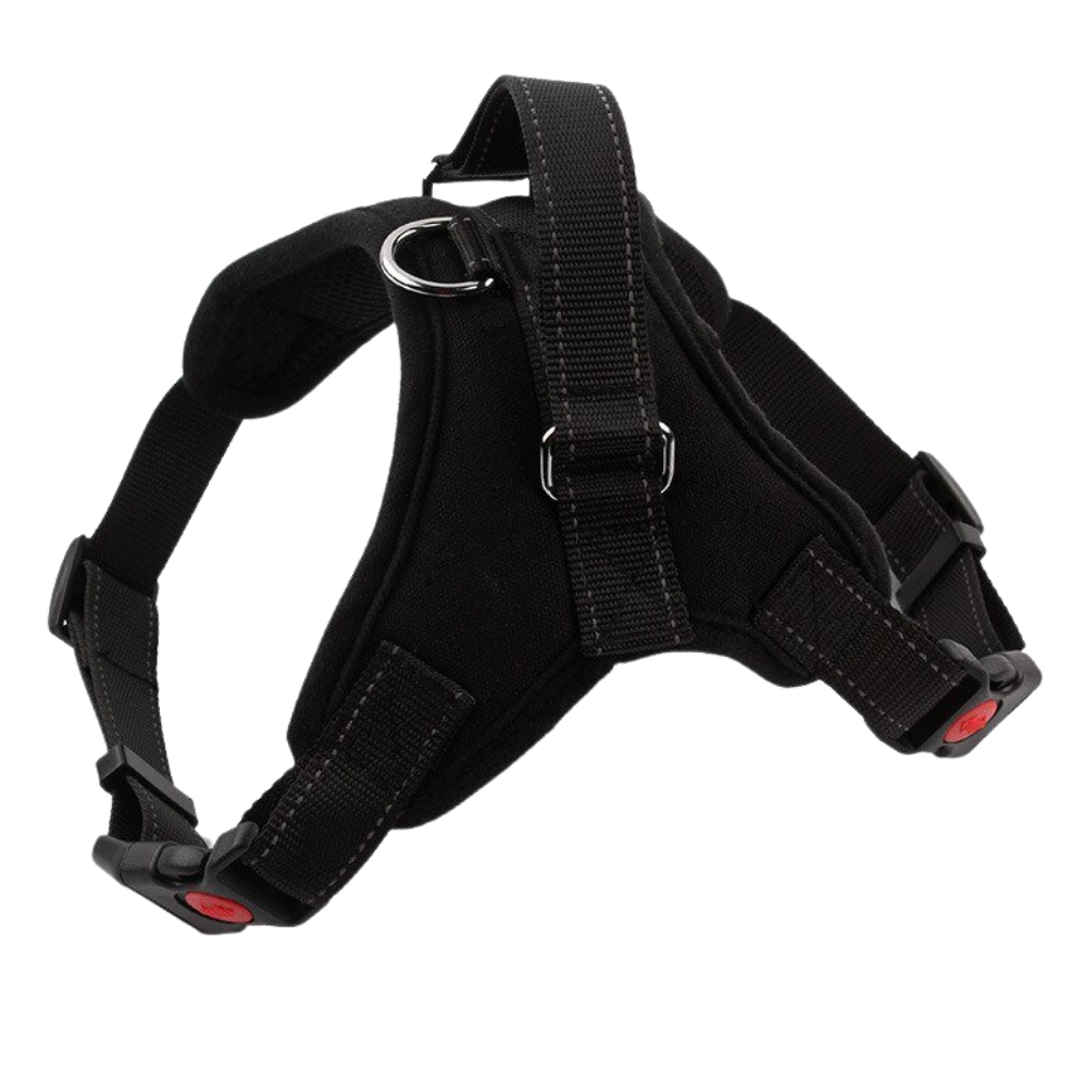 Reflective adjustable saddle dog harness