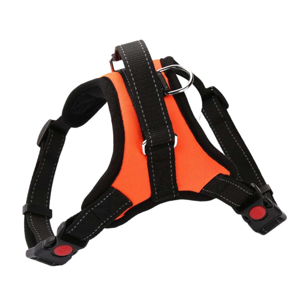 Reflective adjustable saddle dog harness