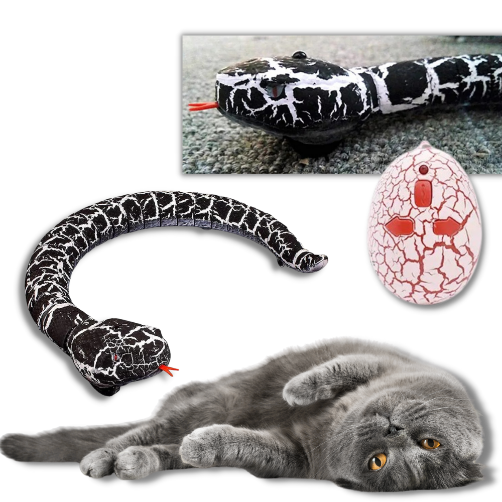 Fjärrstyrd leksaksorm för katt - Ozerty