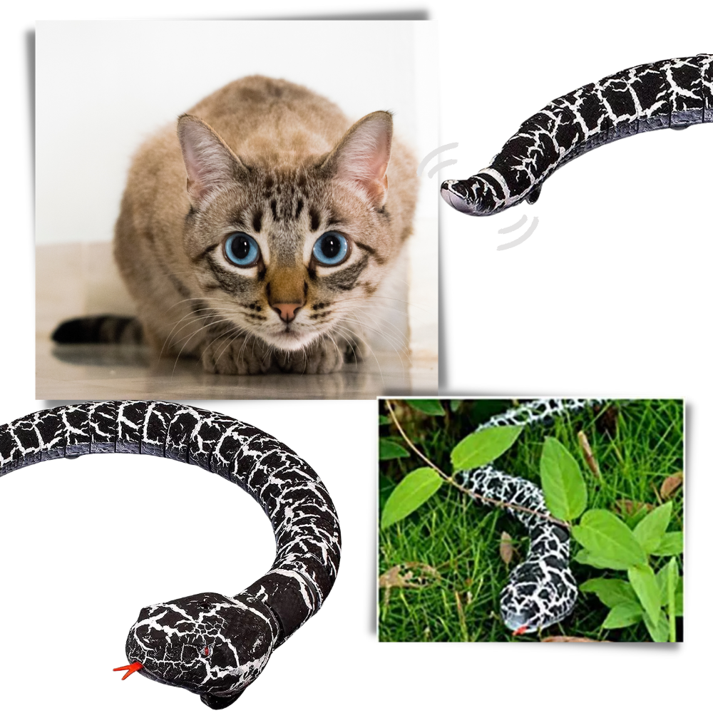 Fjärrstyrd leksaksorm för katt - Ozerty