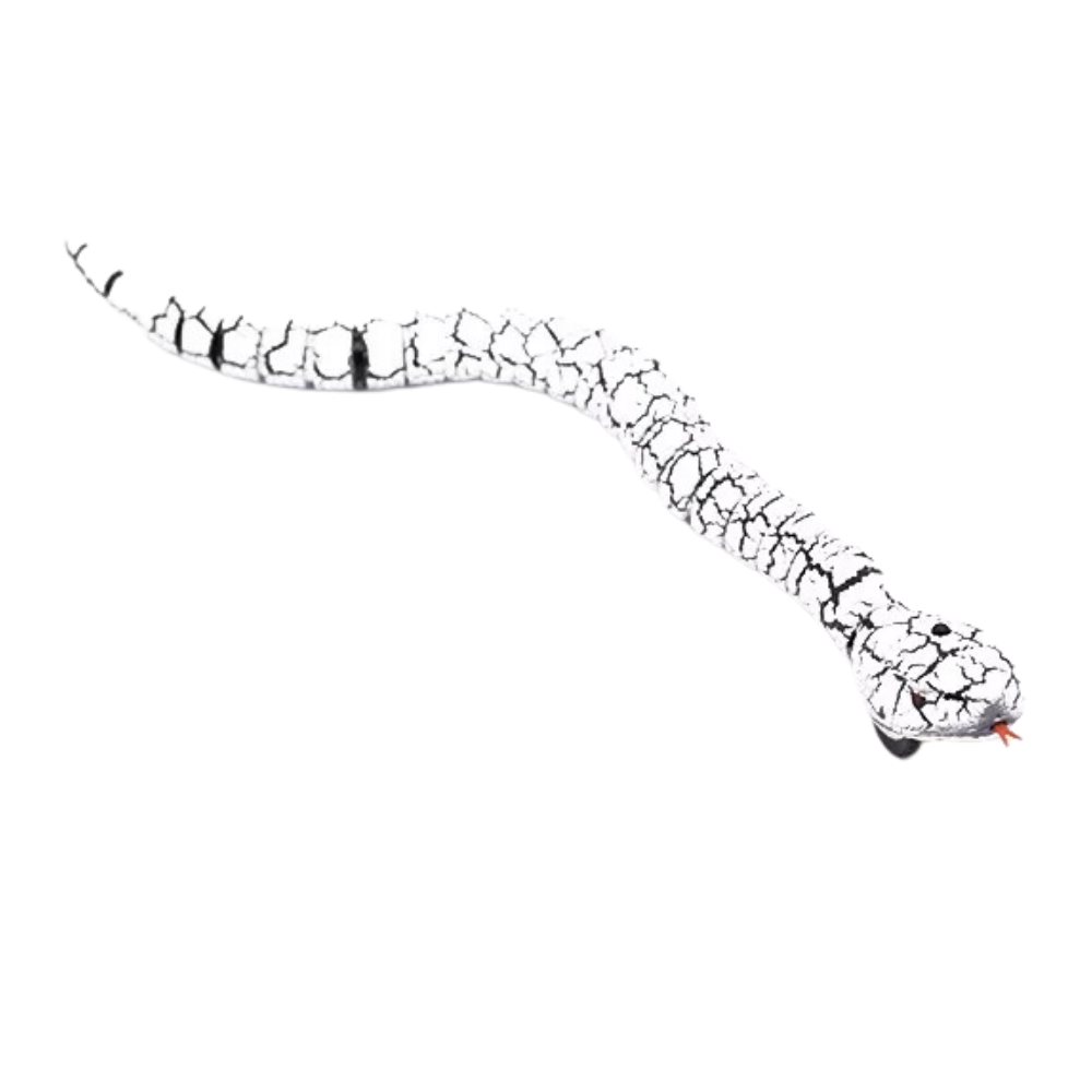 Remote controlled toy snake for cat