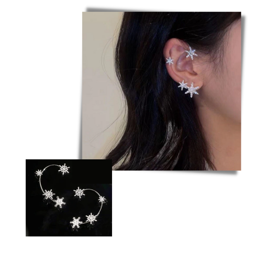 Zirconia clip-on örhängen - Ozerty