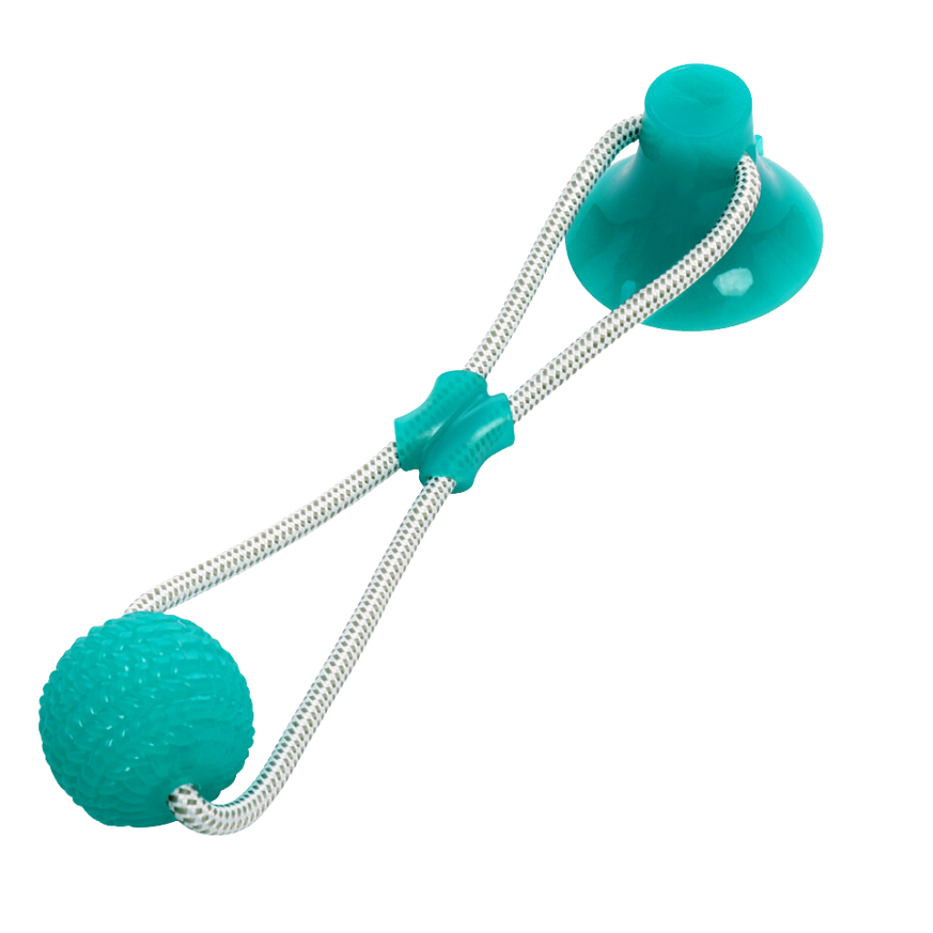 Toy ball with suction cup for dogs