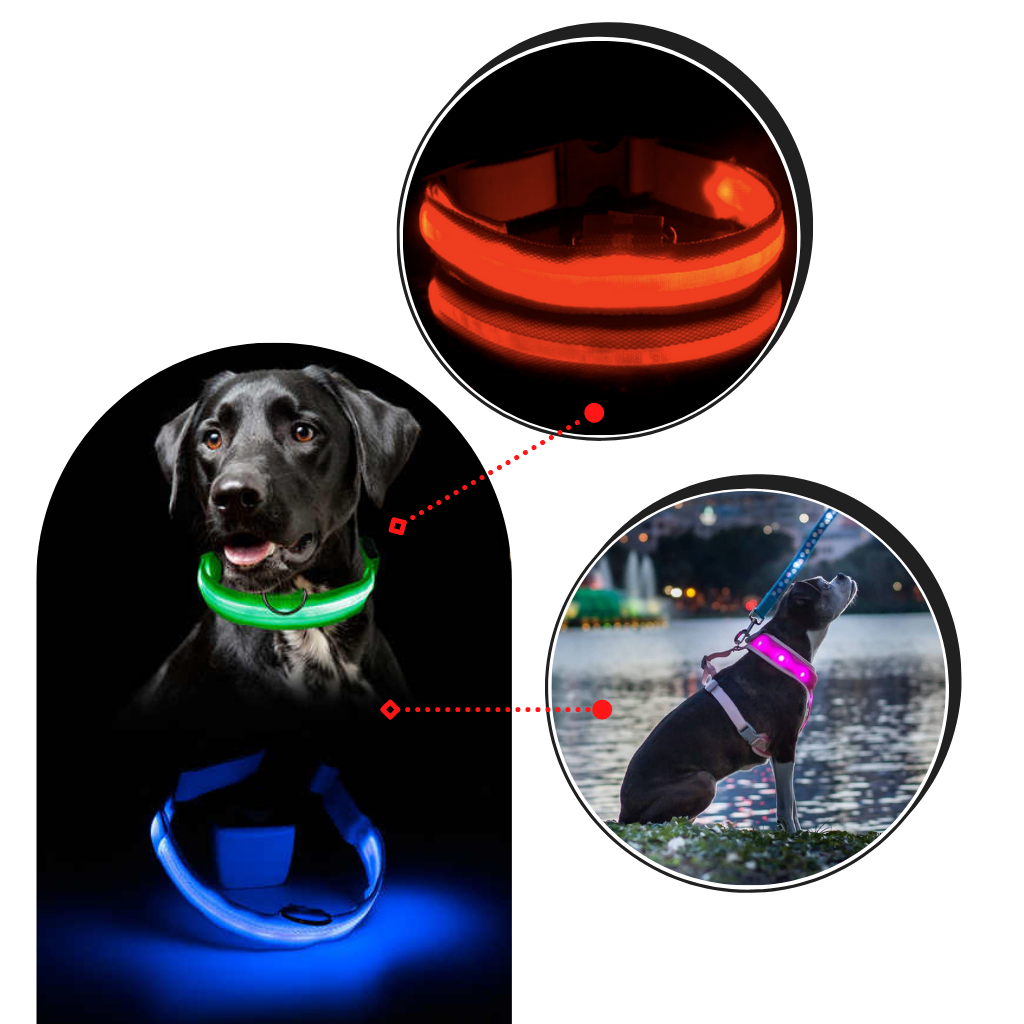 USB-laddningsbart LED-ljushalsband för husdjur - Ozerty