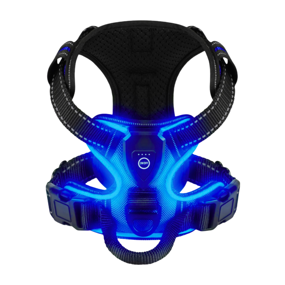 Blinkande LED-ljussele för hund -Mörkblå - Ozerty