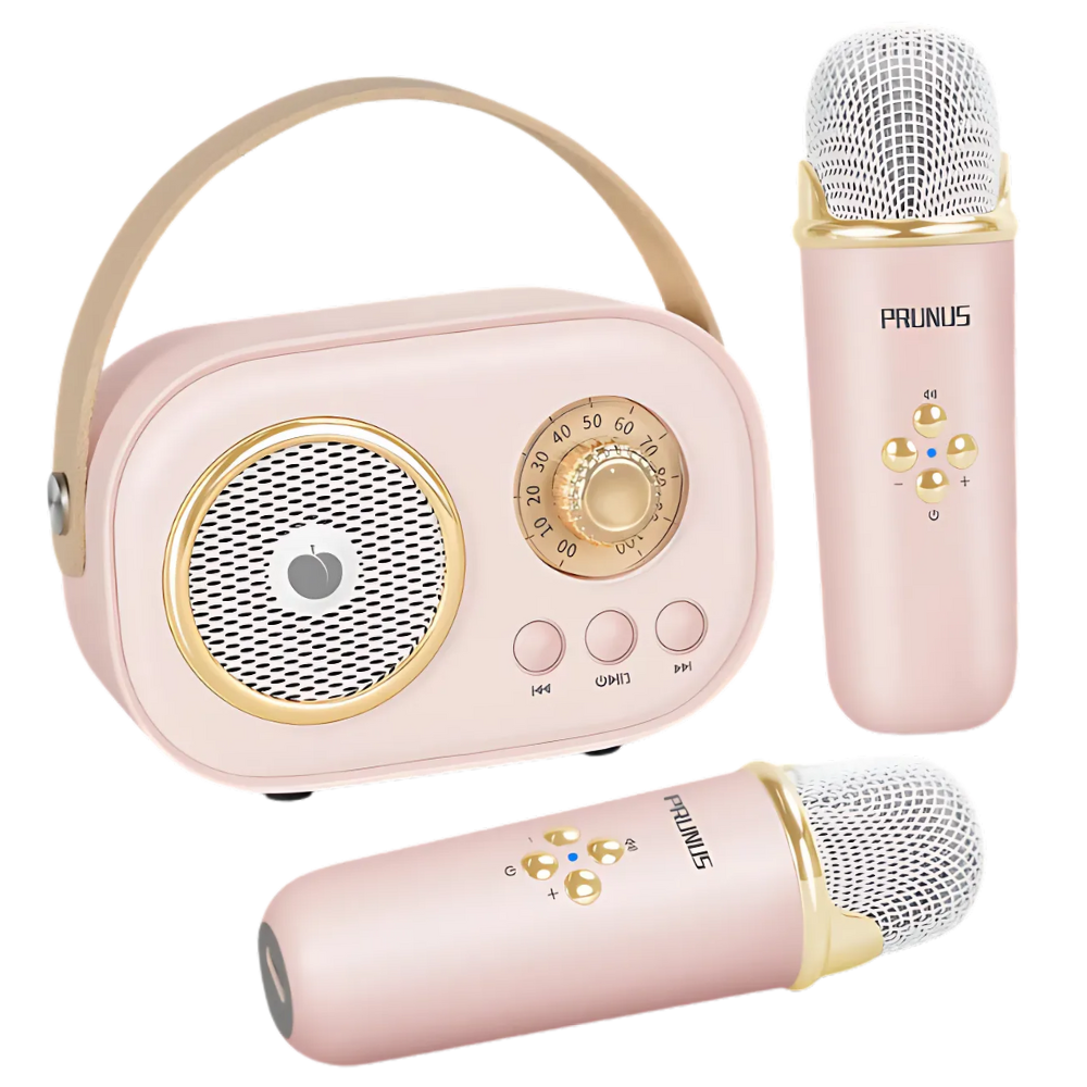 Bluetooth Mini Karaoke med dubbla mikrofoner för barn -Ros - Ozerty