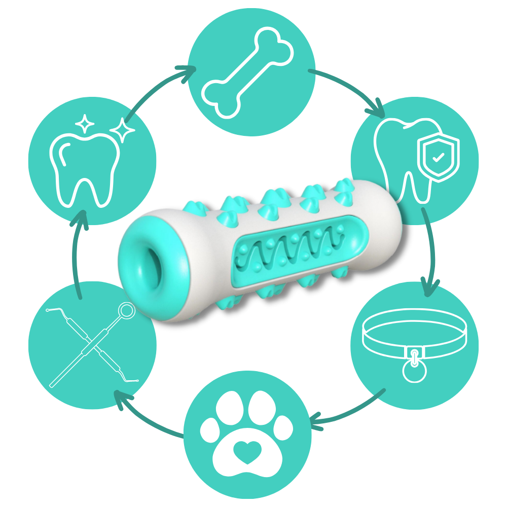 Tuggleksak med tandvård för hundar - Ozerty