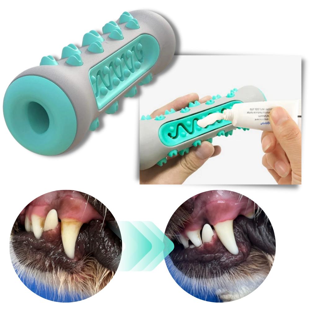 Tuggleksak med tandvård för hundar - Ozerty