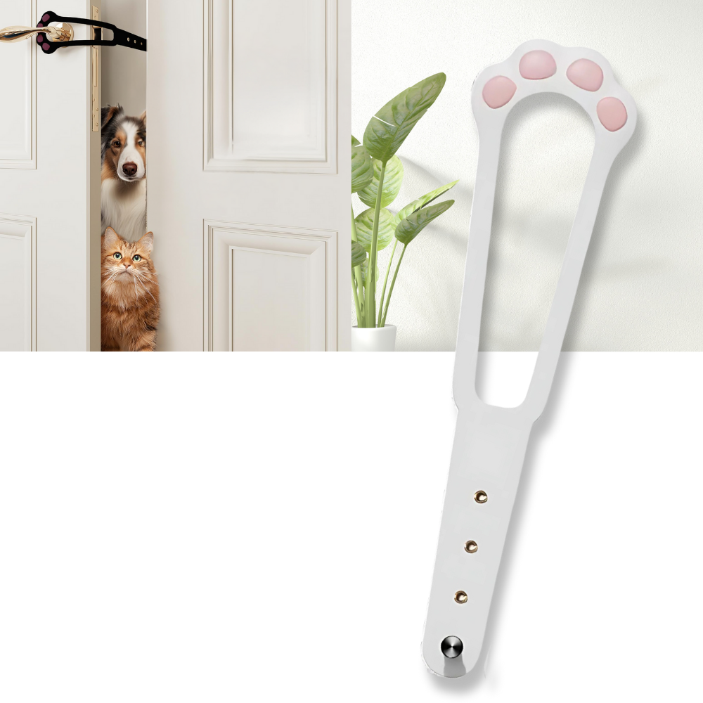 Innovativ dörrspärr för katter - Ozerty