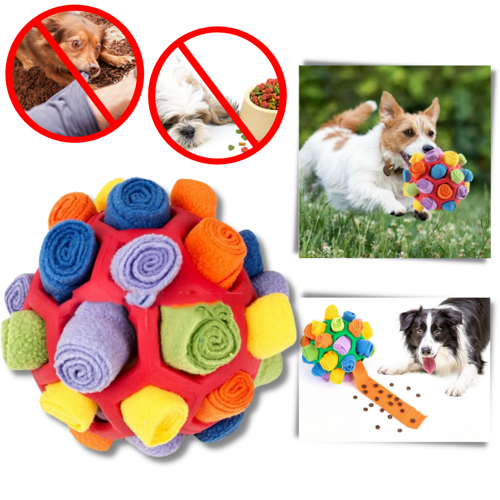 Snuffle ball för mental stimulering - Ozerty