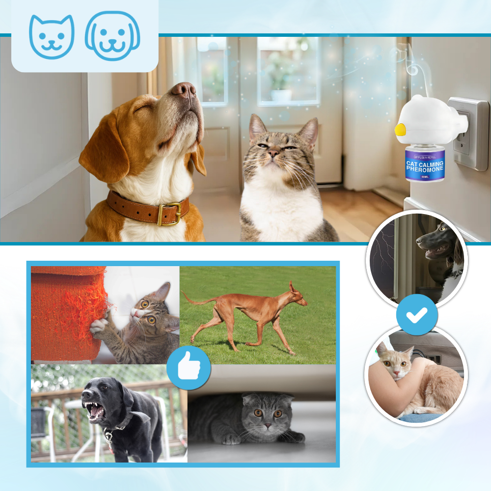 Paws Lugnande Doftspridare - Ozerty
