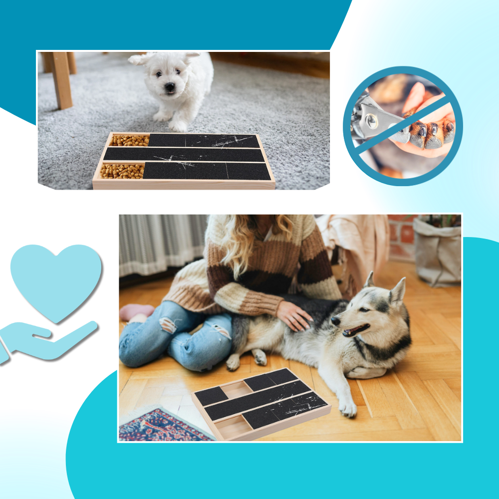 Stressfri klösbräda för hund med godisbelöning - Ozerty