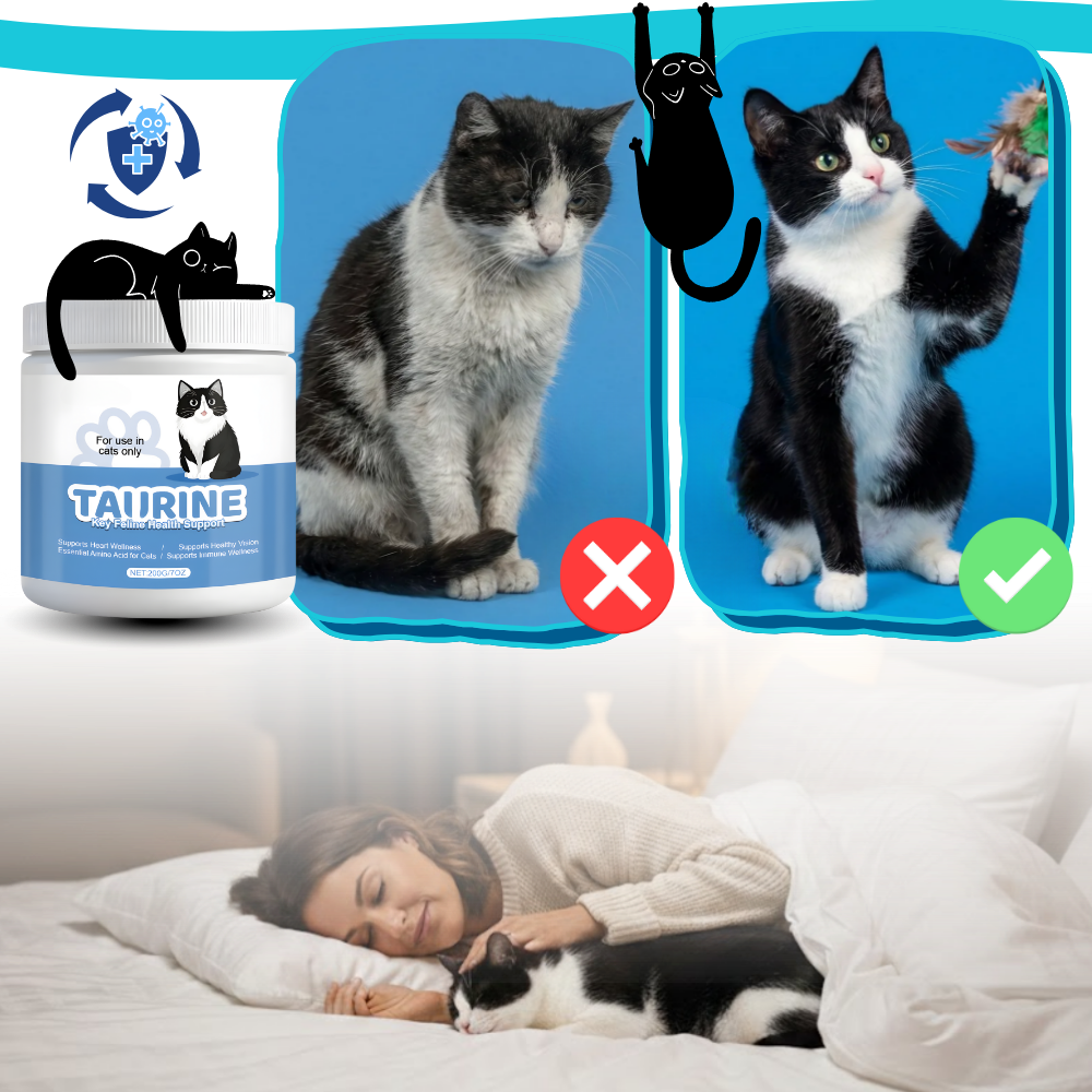 Taurintillskott för katt - Ozerty