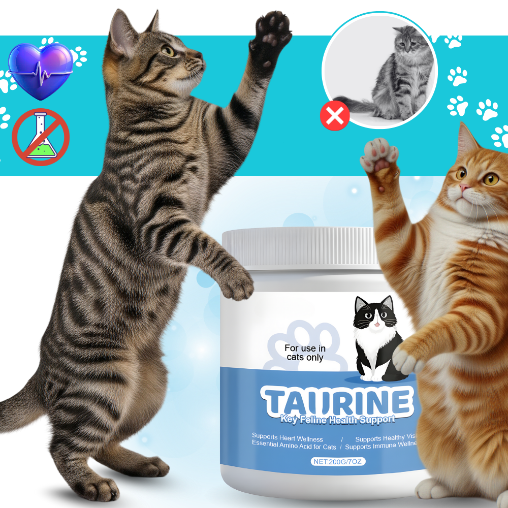 Taurintillskott för katt - Ozerty