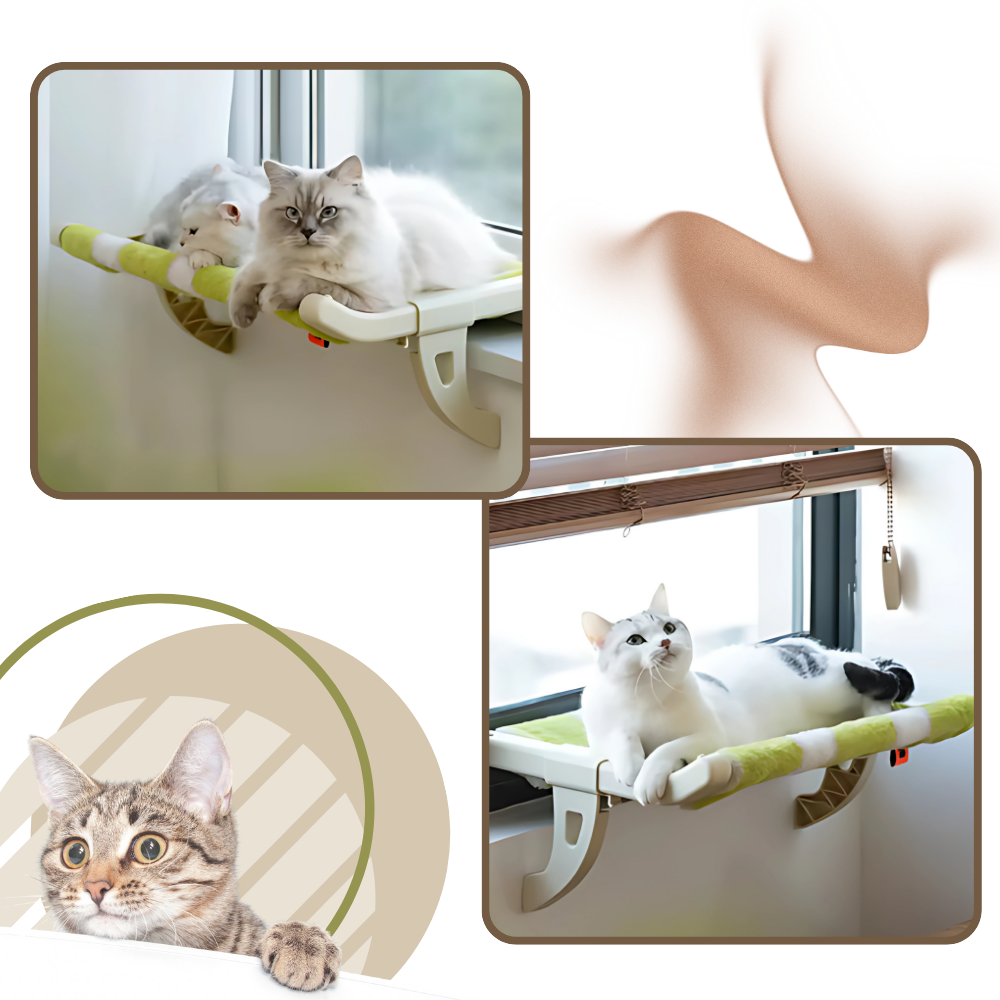 Verktygsfri kattbädd och sittpinne för fönster - Ozerty
