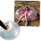 Magisk bubbelboll - Ozerty