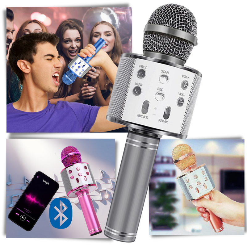 Trådlös Bluetooth-karaoke-mikrofon - Ozerty