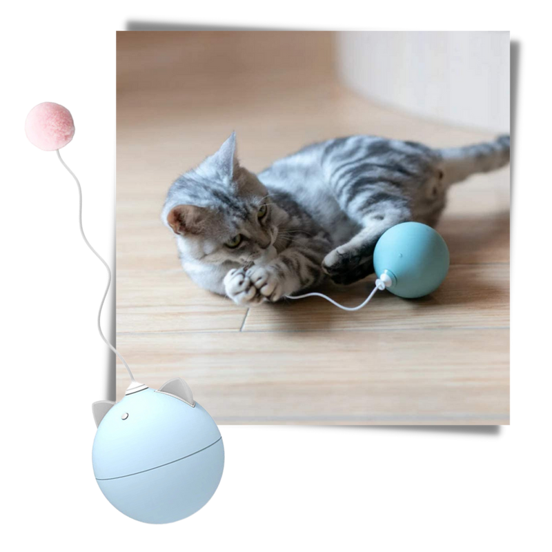 Interaktiv leksaksboll för katt - Ozerty