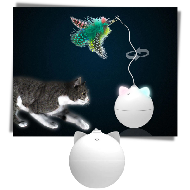 Interaktiv leksaksboll för katt - Ozerty