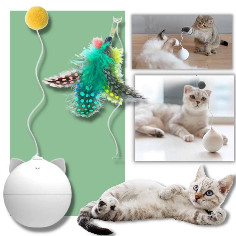 Interaktiv leksaksboll för katt - Ozerty