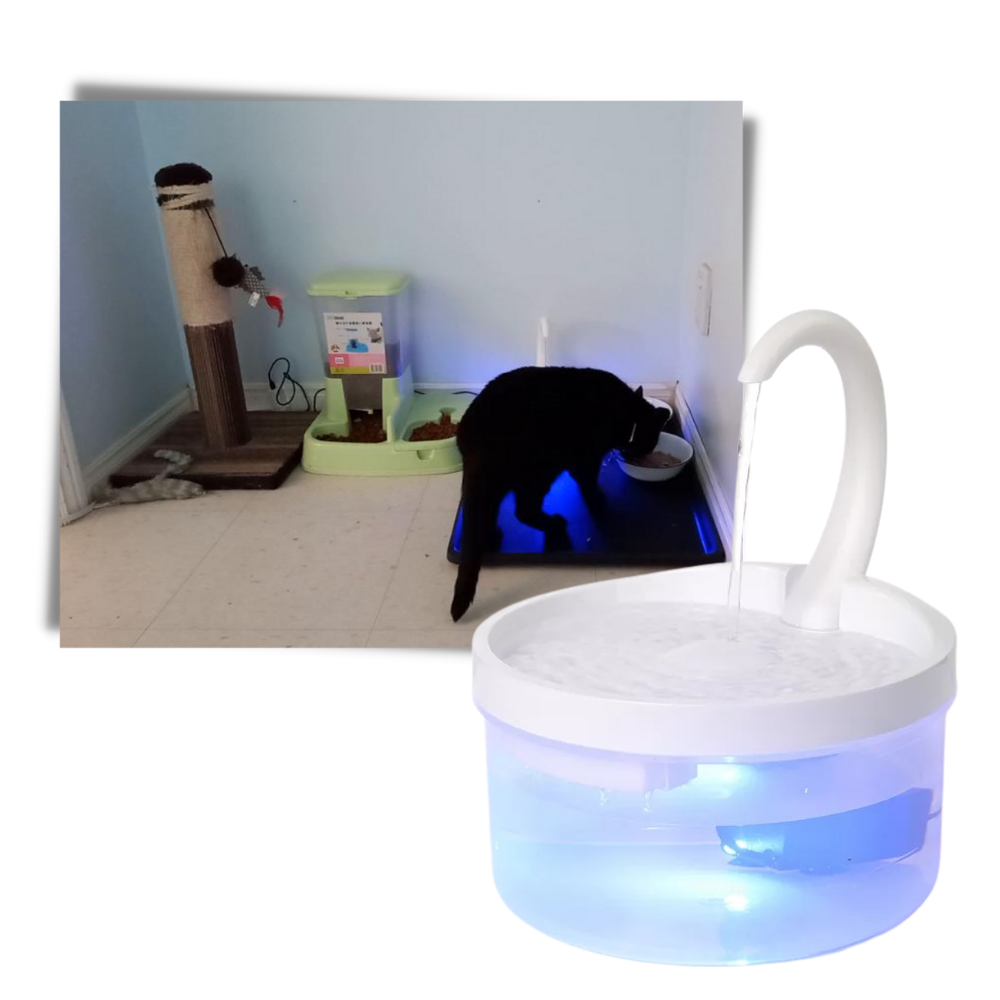 Automatisk dricksfontän för katt med LED-ljus - Ozerty