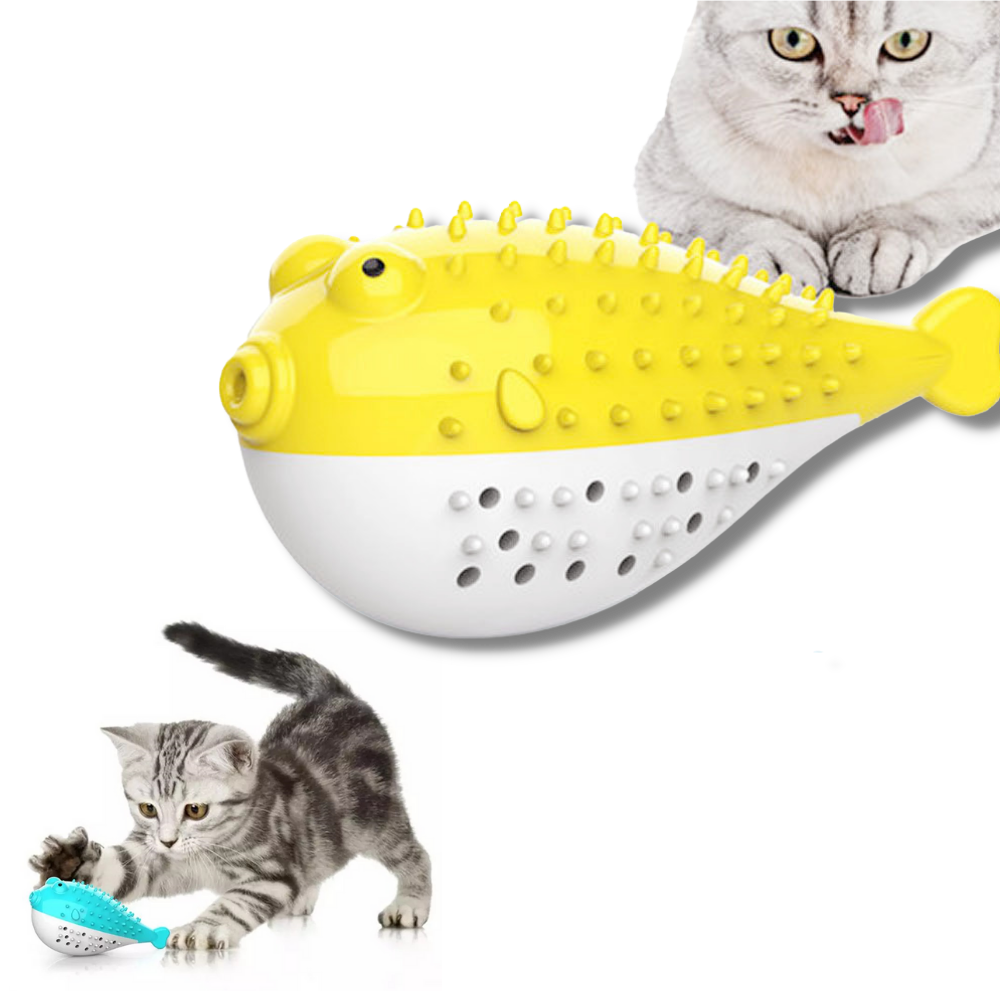 Tandborste för katter - Ozerty