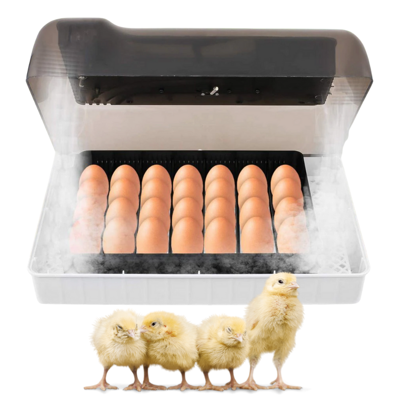 Digital automatisk äggkläckningsmaskin - Ozerty