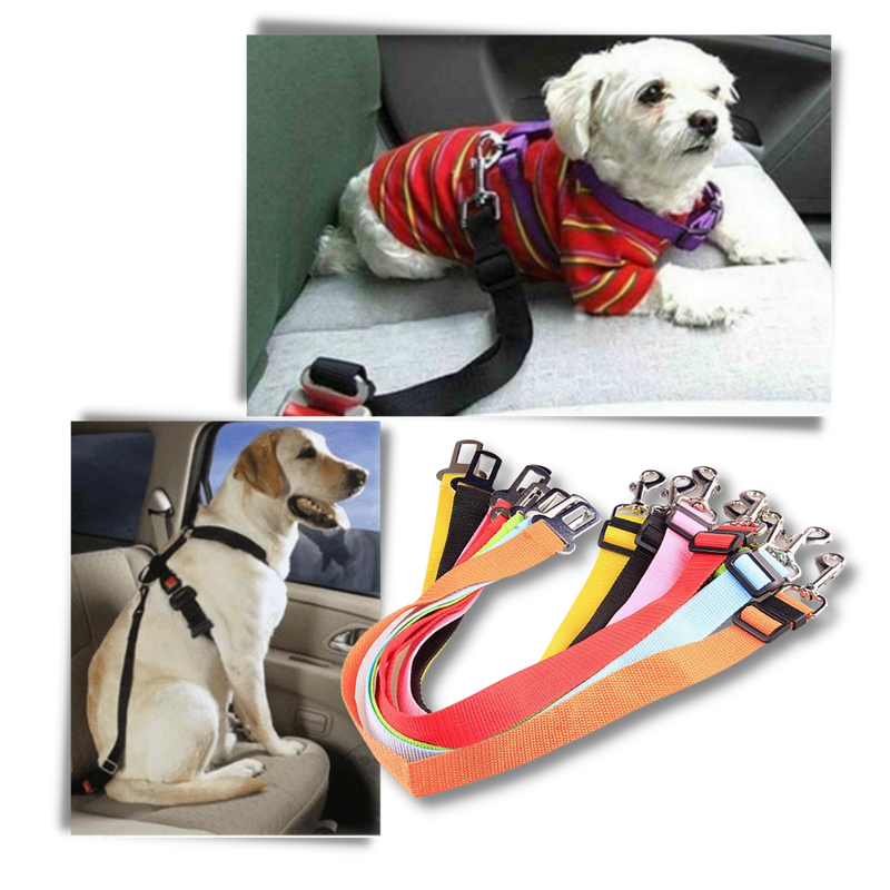 Säkerhetsbälte för hundar i bilar - Ozerty