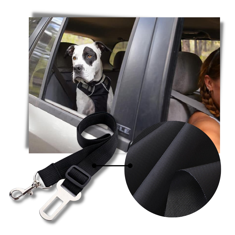 Säkerhetsbälte för hundar i bilar - Ozerty