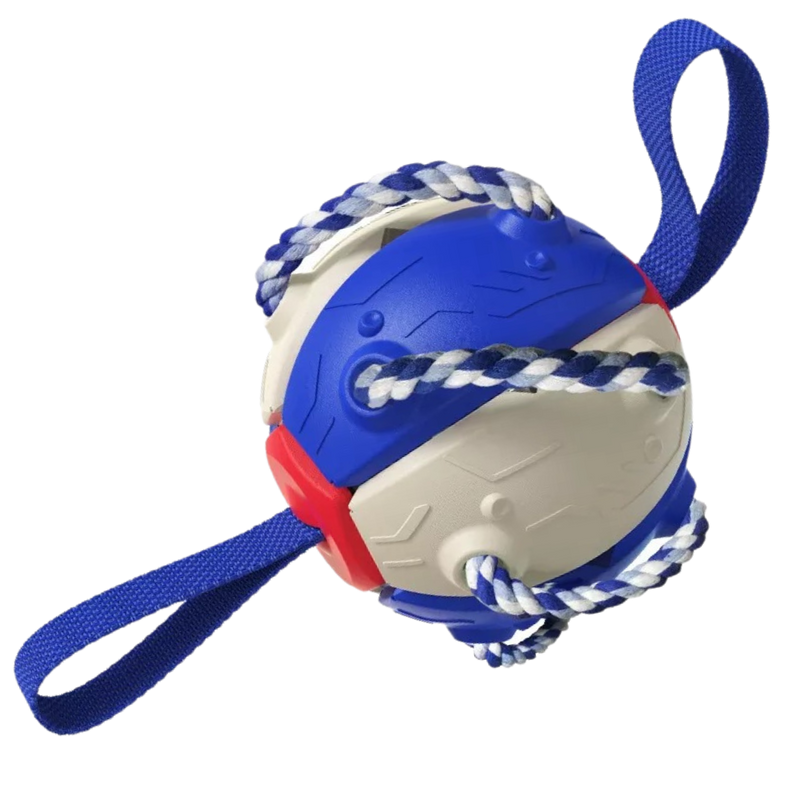 Frisbee boll hund leksak - Ozerty
