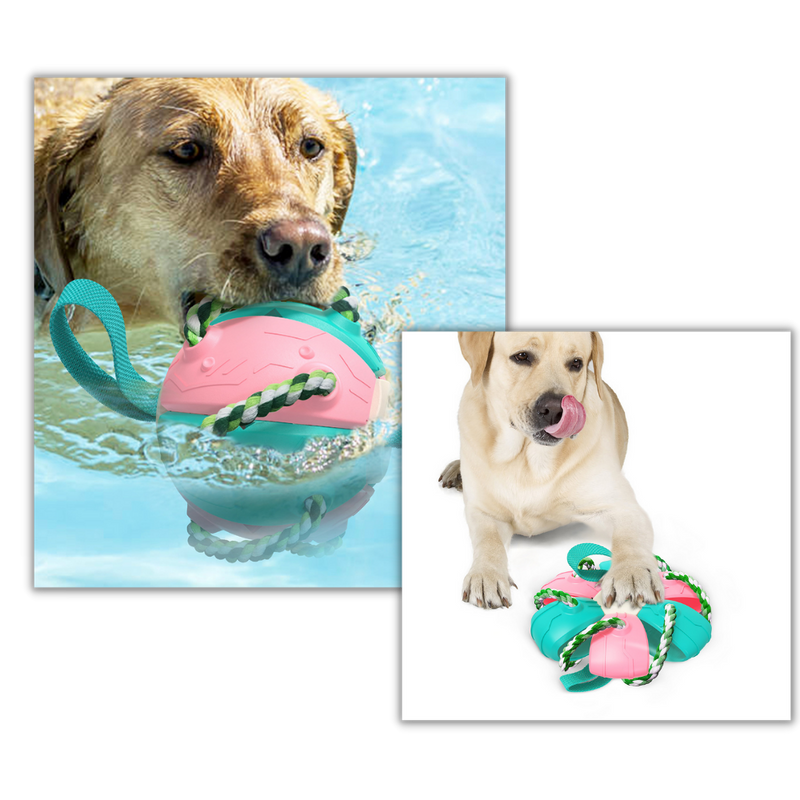 Frisbee boll hund leksak - Ozerty